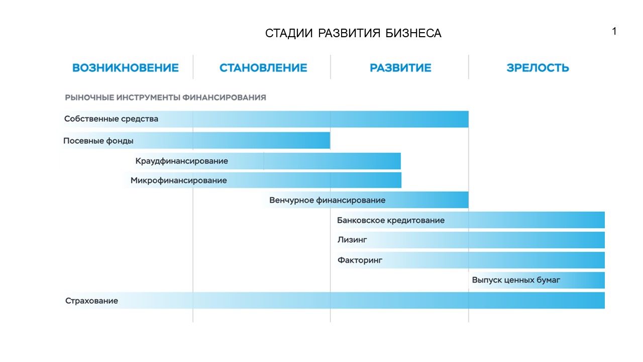 Где искать финансовую поддержку в России для получения микрозайма?