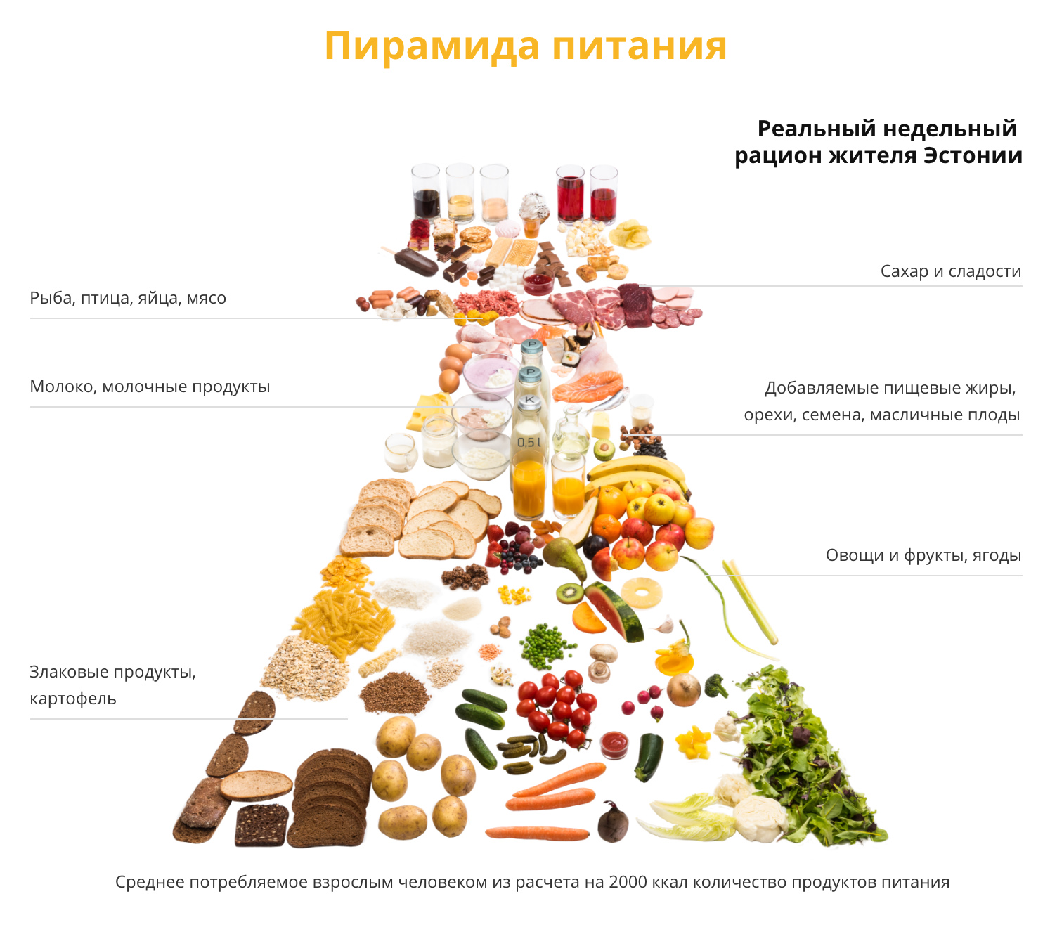 Где купить эффективный план питания для достижения своих целей: лучшие варианты