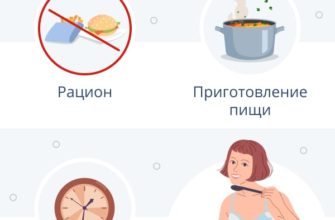 Готовый план питания: идеальное решение для здорового образа жизни