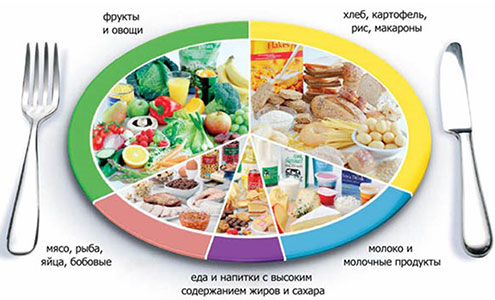 Эффективный план обучения по рациональному питанию: достигайте здоровья и идеальной формы