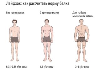 Протеин для сжигания жира: оптимальное количество и правила употребления